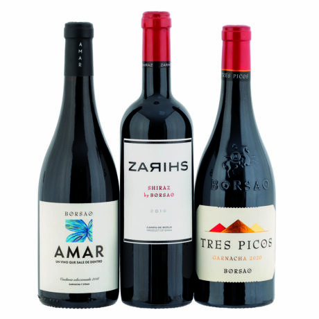 CAPRICHO DE BORSAO REF.666