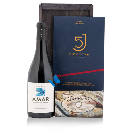 CAPRICHO DE BORSAO REF.669