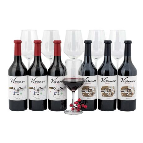 LOTE EXPERIENCIA VIVANCO REF. 674